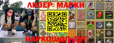 индика Гусев