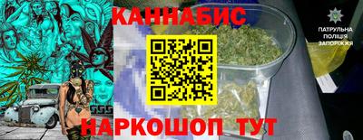 индика Гусев