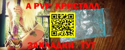 индика Гусев