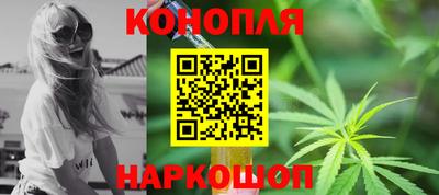 индика Гусев