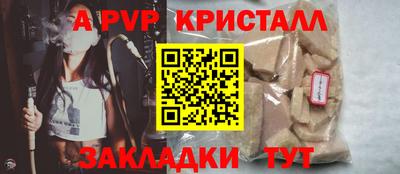 индика Гусев